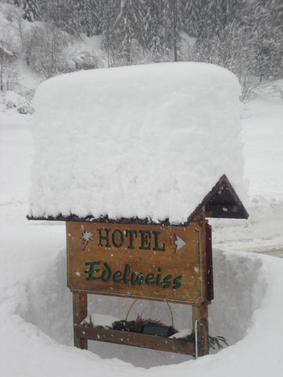 Hotel Edelweiss Вал ди Дзолдо Екстериор снимка